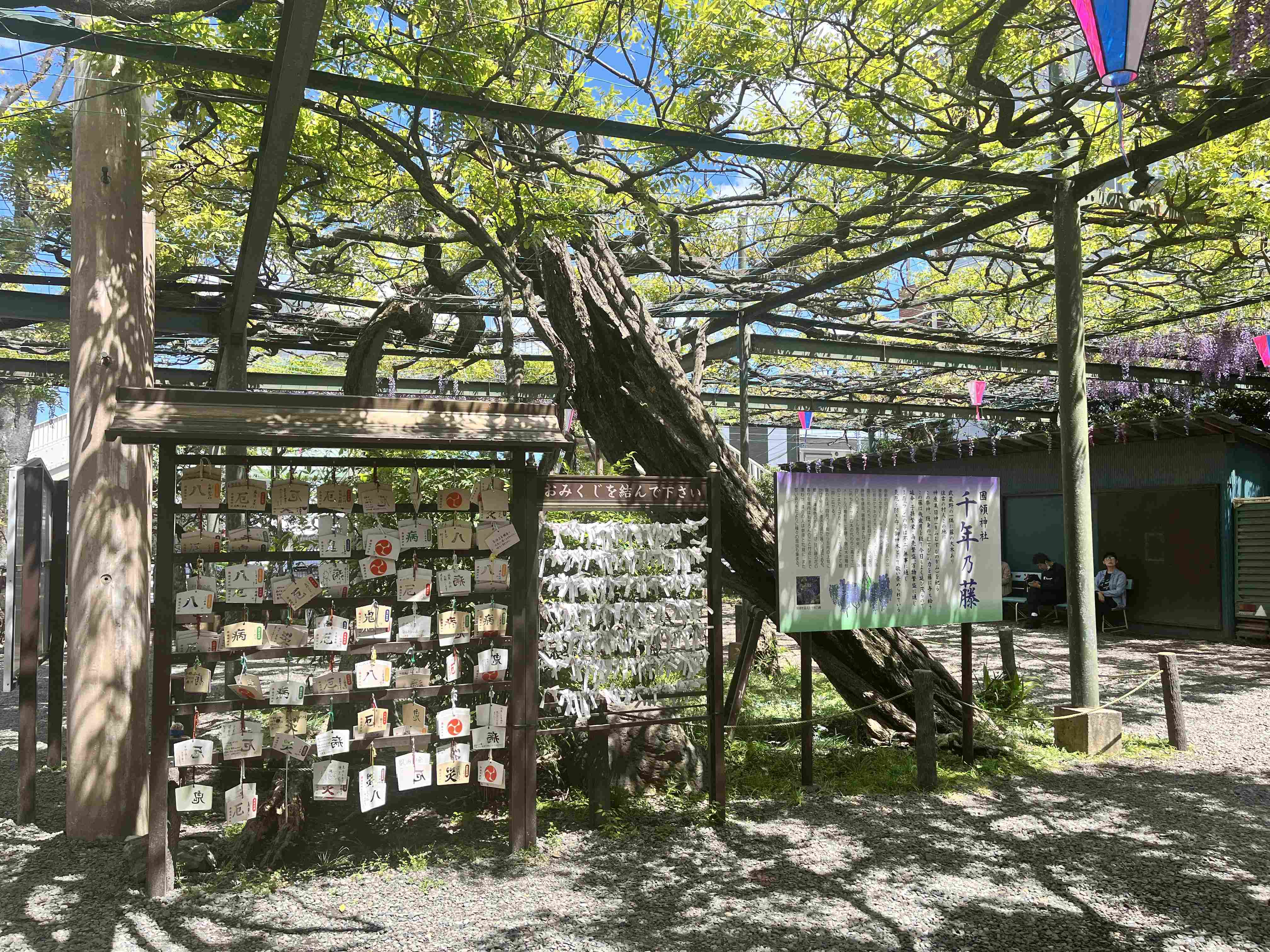 ⛩️ 고쿠료 신사 이미지 5